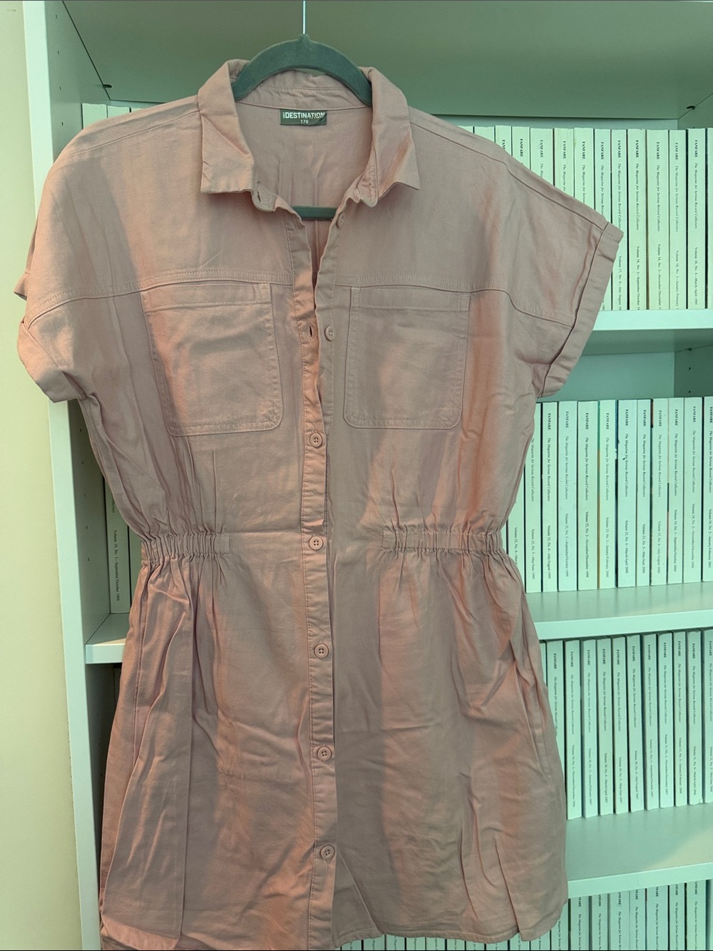 Dusty Rose Button-Front Shirt Dress with Elastic Waist